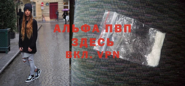 гашик Мегион