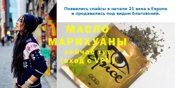 гашик Мегион