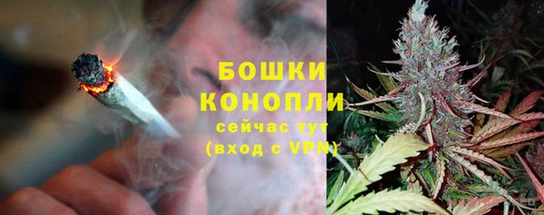 гашик Мегион