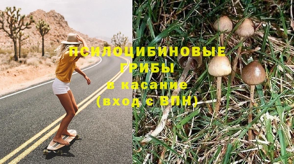 таблы Медногорск