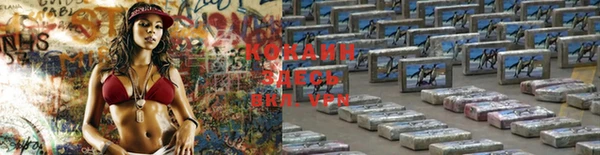 гашик Мегион