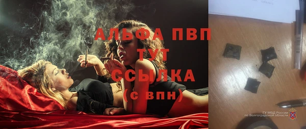 гашик Мегион