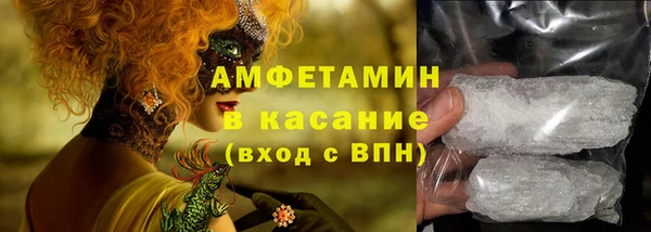 гашик Мегион