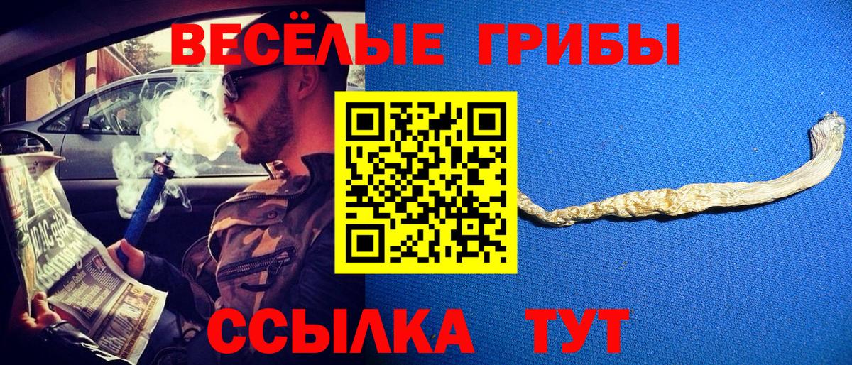 Отрадное  Галлюциногенные грибы Psilocybe  Вход с VPN 